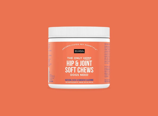 The Only Hip & Joint Soft Chews Dogs Need