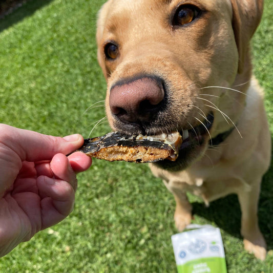 Lulu's Kitchen Croc Jerky